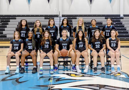 Current and Former Yotes Making News | Chandler Gilbert Community College