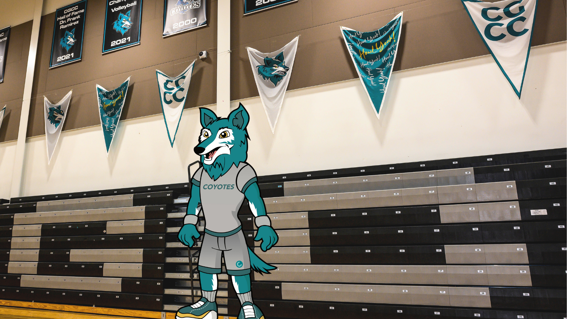 Coyotes Spirit Shirt Coyotes School Spirit Team Mascot 