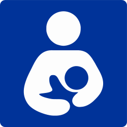 Lactation Room Icon