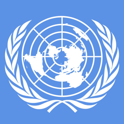 Model United Nations (MUN)