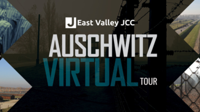 Auschwitz Live Virtual Tour 