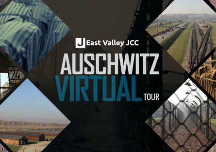 Auschwitz Live Virtual Tour 