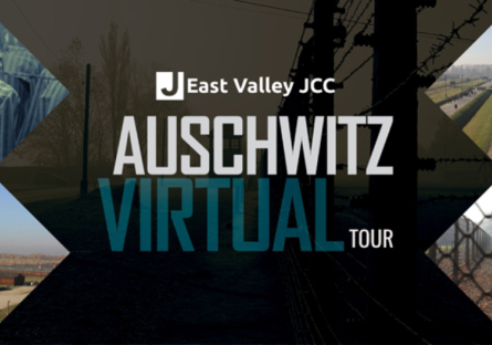 Auschwitz Live Virtual Tour 