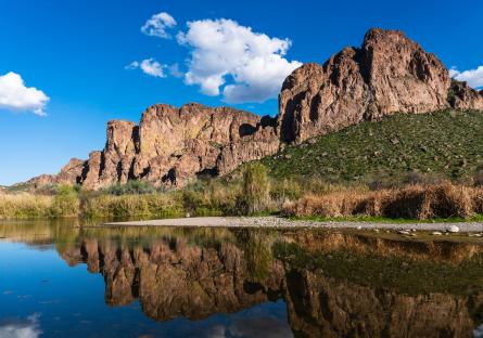 The Salt River