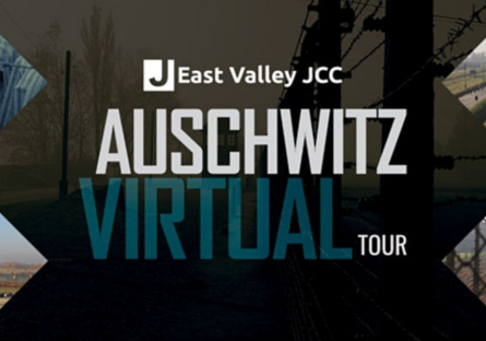 auschwitz tours