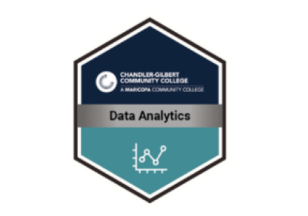 Microcredential Pathway (MCP) in Data Analytics