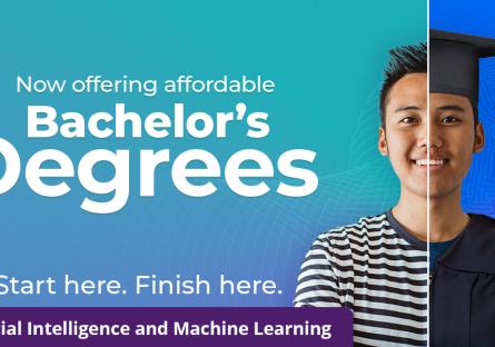 Bachelor's degrees