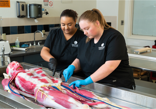 Mortuary Science Student and Instructor