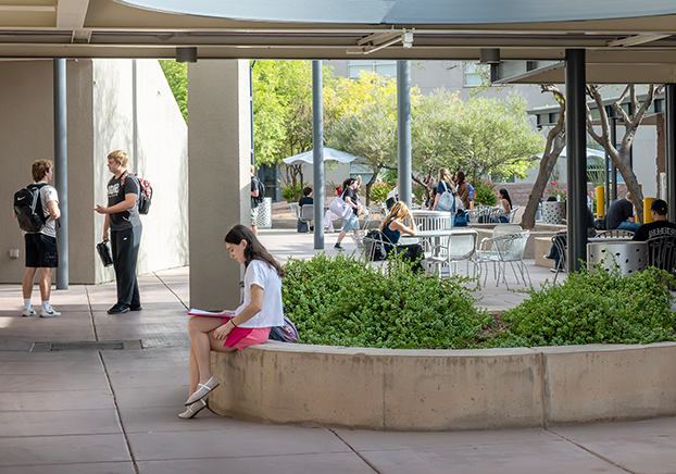 AAS degree seeking students in courtyard